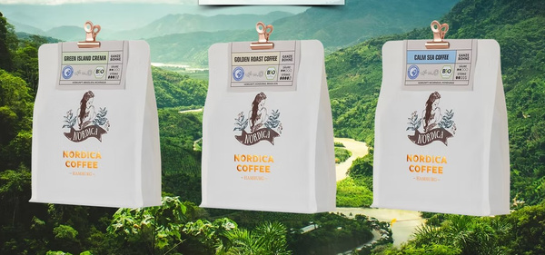 KI generiert: Drei Kaffee-Verpackungen vor einer grünen Landschaft. Text: "Nordica Coffee", "Green Island Crema", "Golden Roast Coffee", "Calm Sea Coffee".