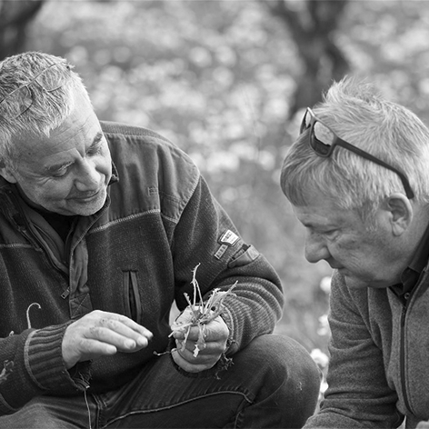 Grünland Bio Lieferant Peter Riegel Weinimport