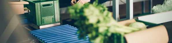 Grünland Rollenband Packen Biokiste Ökokiste