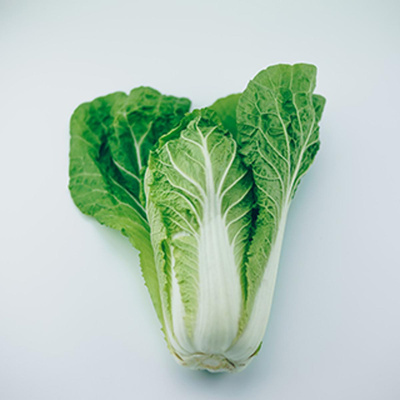 Produktfoto zu Chinakohl