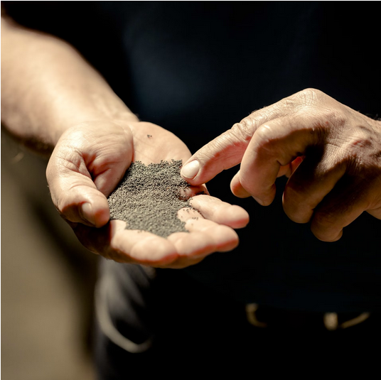 Grünland Bio Lieferant Bio Planète