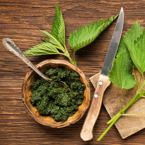 Hausgmachtes Pesto aus Wildkräutern mit Brennnesselblättern