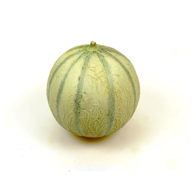 Produktfoto zu Honigmelone Cantaloupe