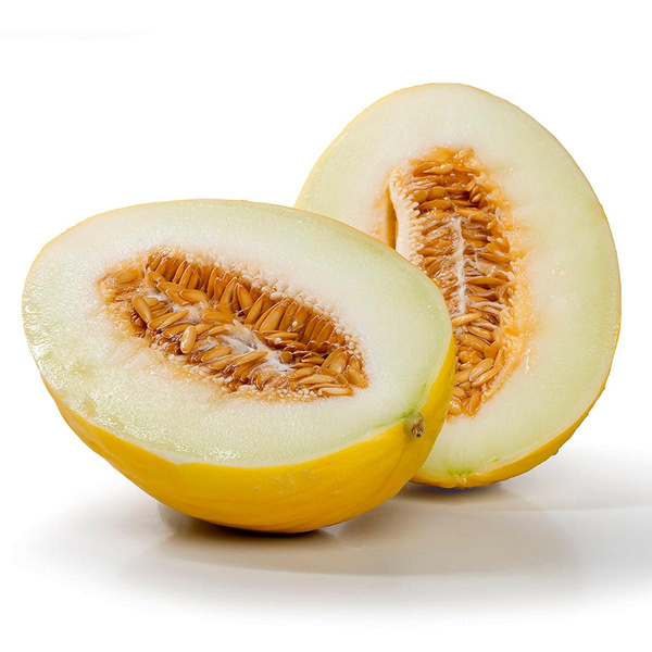 Produktfoto zu Honigmelone 'Gialetto'