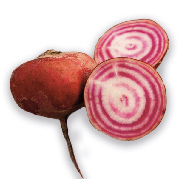 Produktfoto zu Ringelbete