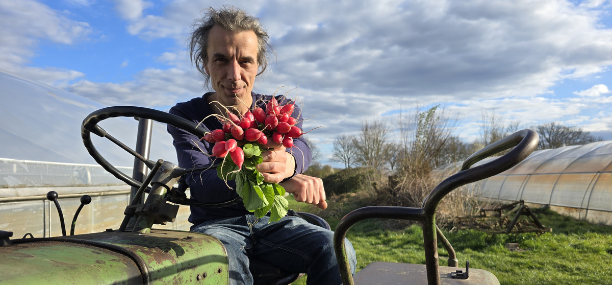 KI generiert: Ein Mann auf einem Traktor hält ein Bund Radieschen hoch, umgeben von Gewächshäusern und blauem Himmel.