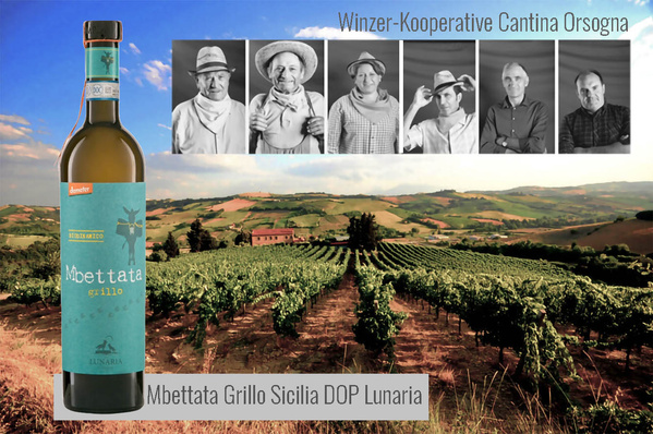 Bildkomposition Wein des Monats MAi mit Weinberg, Flasche und Winzerkooperative