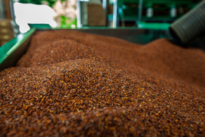 Grünland Bio Lieferant Bingenheimer Saatgut Samen