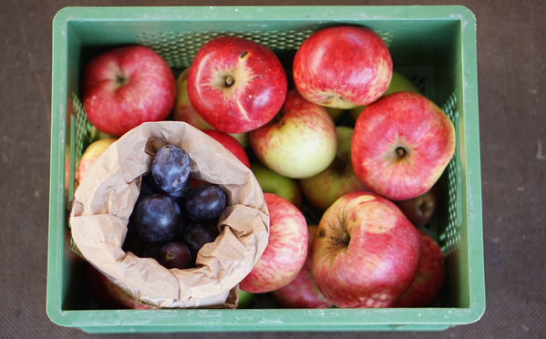 KI generiert: Grüne Kiste mit roten Äpfeln und einer Papiertüte voller Pflaumen.