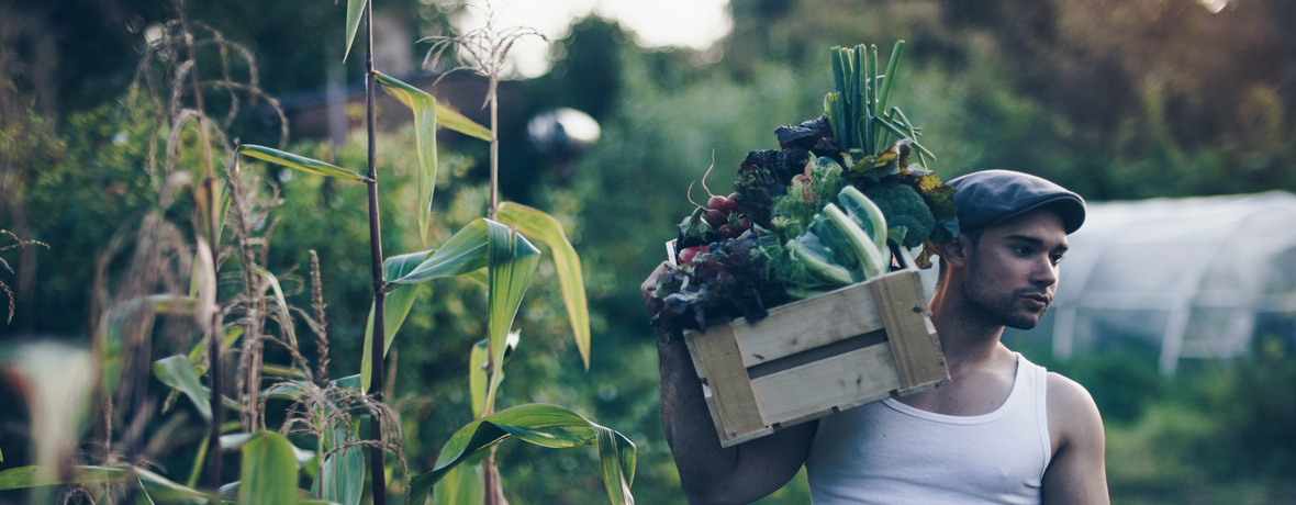 Grünland Gärtner Ernte Gemüse in Holzkiste auf Schulter