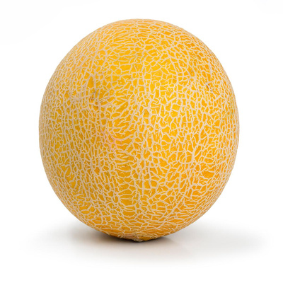 Produktfoto zu Honigmelone Galia kg