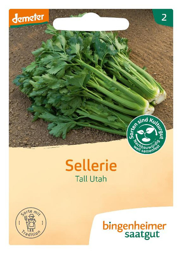 Produktfoto zu Stangensellerie Tall Utah