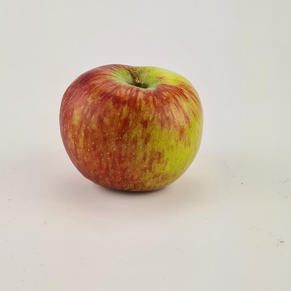 Produktfoto zu Äpfel 'Hana'