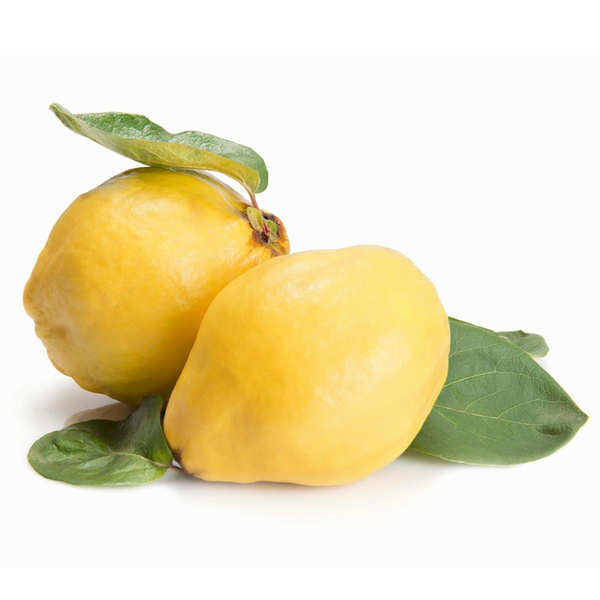 Produktfoto zu Quitten