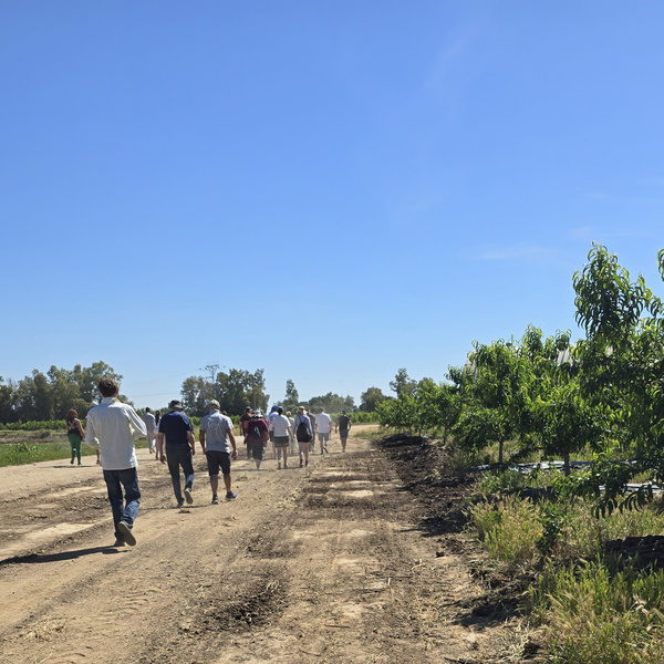 KI generiert: Eine Gruppe von Menschen geht auf einem Feldweg unter klarem Himmel spazieren.