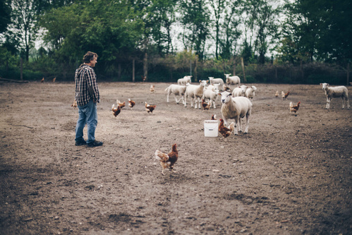 Grünland Bio Lieferant Biolandhof Wiersdorf