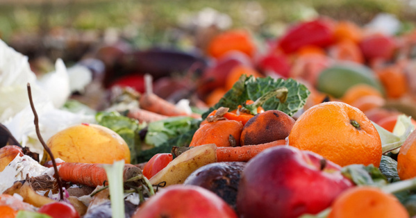 Obst und Gemüse, teils noch brauchbar, welches weggeworfen wurde