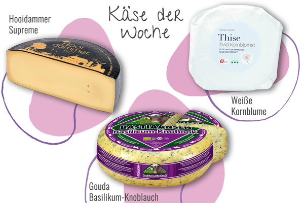 KI generiert: Drei Käsesorten: Hooidammer Supreme, Weiße Kornblume, Gouda Basilikum-Knoblauch. Text: "Käse der Woche".