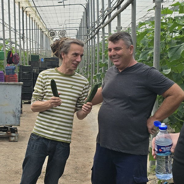 KI generiert: Zwei Männer stehen in einem Gewächshaus und halten jeweils eine Gurke in der Hand. Sie scheinen sich zu unterhalten und lächeln dabei.