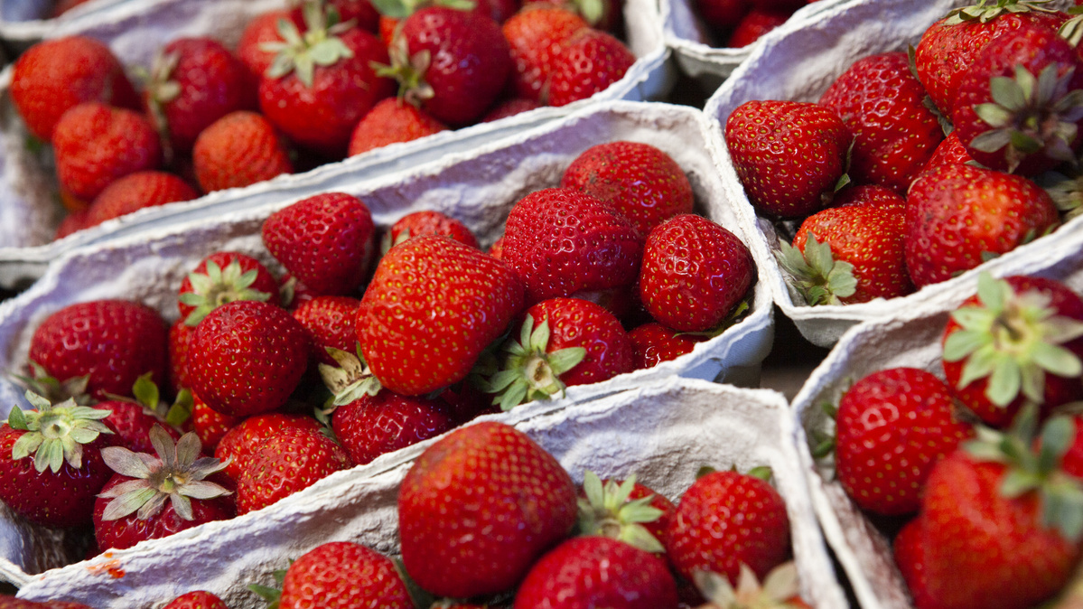 Erdbeeren in Kartonschälchen