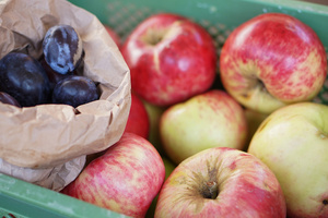 Regionale Zwetschgen und Äpfel in grüner Biokiste