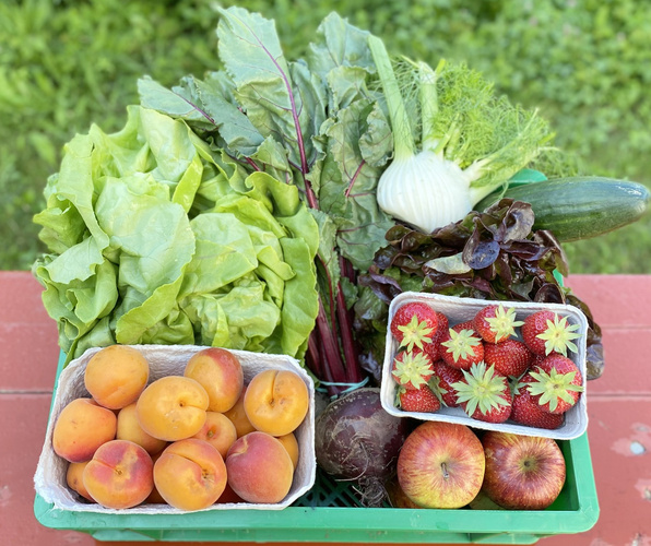 KI generiert: Eine Kiste mit frischem Gemüse und Obst, darunter Salat, Fenchel, Pfirsiche und Erdbeeren.