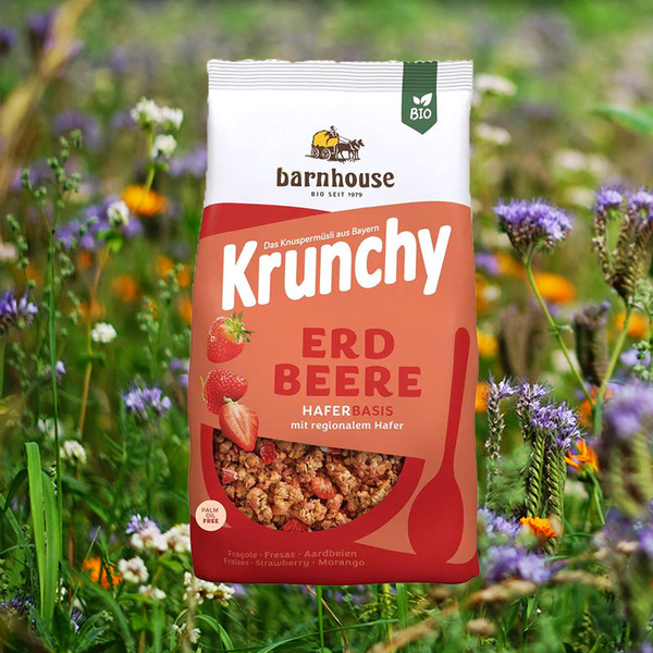 Krunchy Erdbeere von Barnhouse