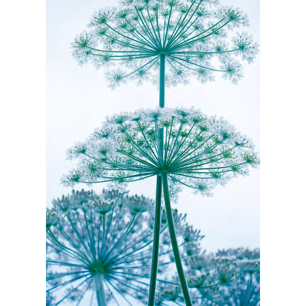 Produktfoto zu Postkarte Beschirmt