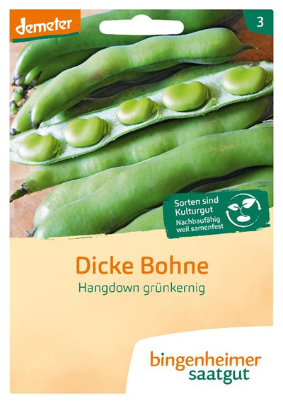 Produktfoto zu Saatgut Dicke Bohne Hangdown grünkernig