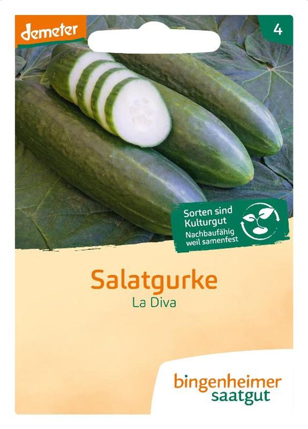Produktfoto zu Saatgut Salatgurke