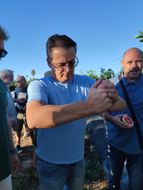 KI generiert: Eine Person in einem blauen T-Shirt presst mit den Händen eine Flüssigkeit aus einer Frucht. Im Hintergrund sind andere Menschen und eine Grünfläche zu sehen.