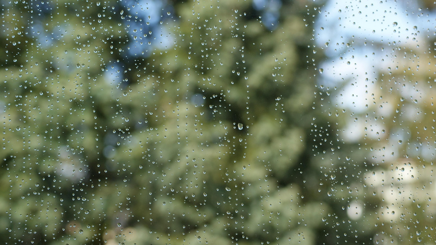 KI generiert: Wassertropfen auf einer Fensterscheibe mit verschwommenem Hintergrund von Bäumen.