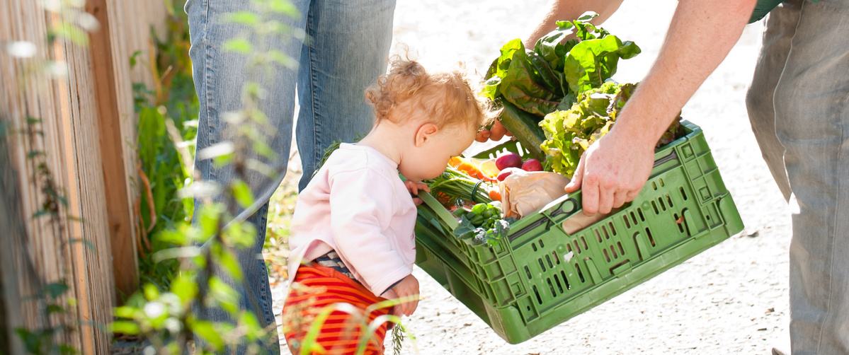 Ein Mann übergibt einer Frau und einem Kind eine Kiste voller frischem Gemüse im Freien. Die Szene strahlt eine ländliche, freundliche Atmosphäre aus.