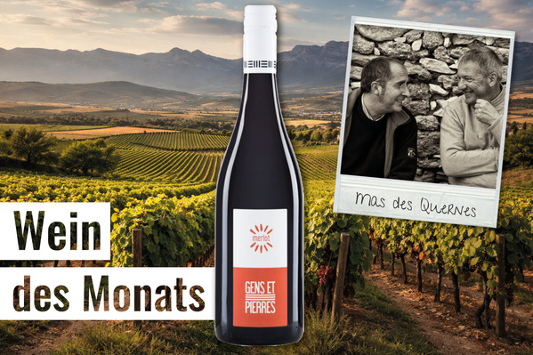 KI generiert: Eine Weinflasche vor einem Weinberg, Text: "Wein des Monats" und "mas des Quernes".