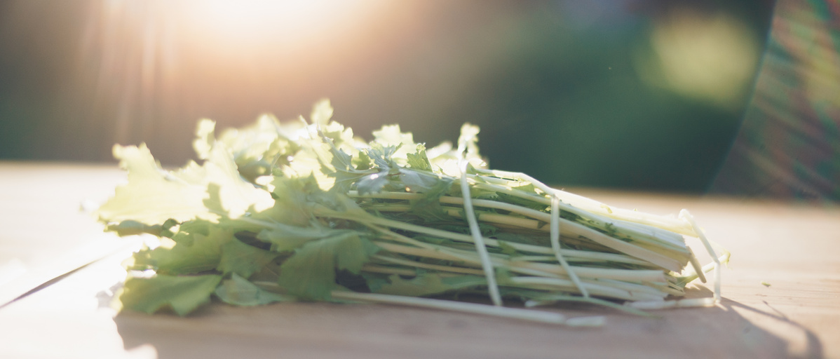 Ein Bund Stielmus liegt auf einem Tisch im Sonnenlicht.
