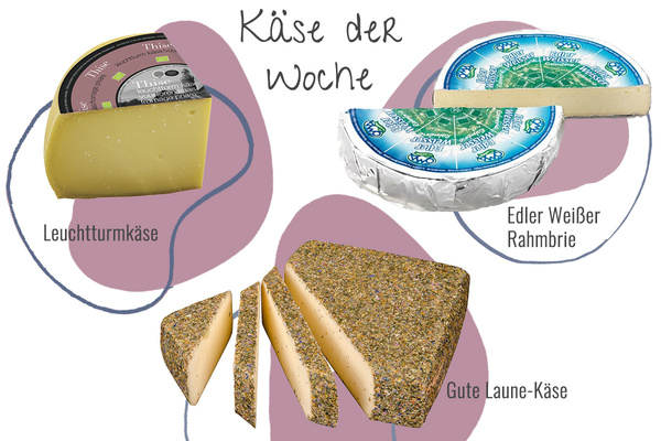 Drei Käsesorten aus der Abokiste in einem Bild