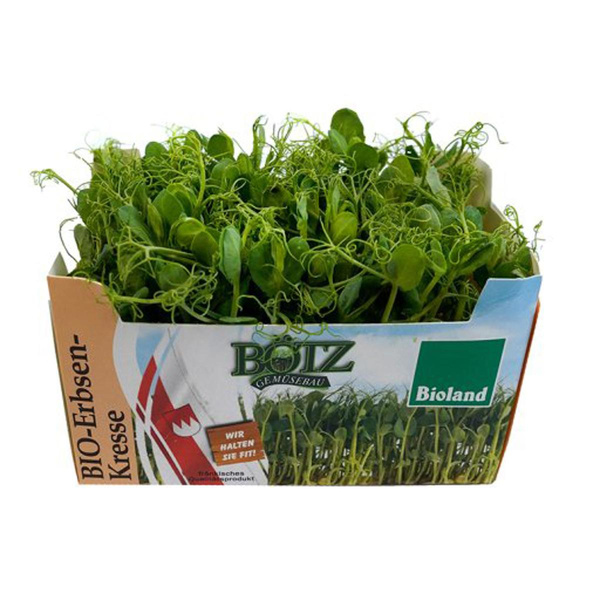 Produktfoto zu Erbsen-Kresse in Schalen