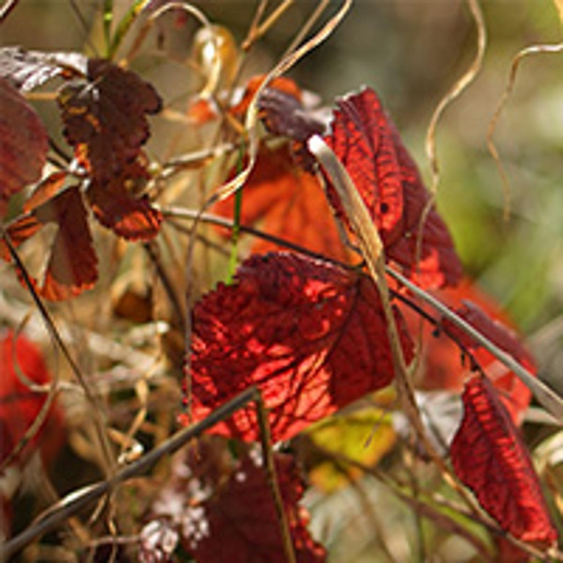 Angebote Oktober