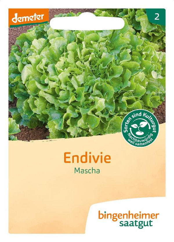 Produktfoto zu Saatgut Endivie Mascha Diva