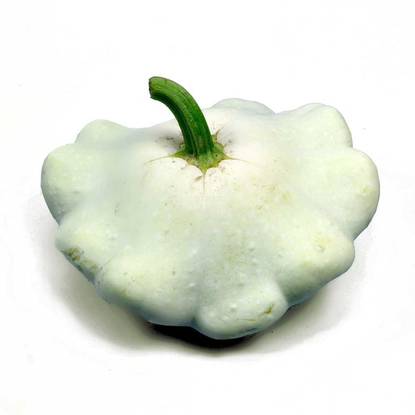 Produktfoto zu Kürbis Ufo 'Patisson'