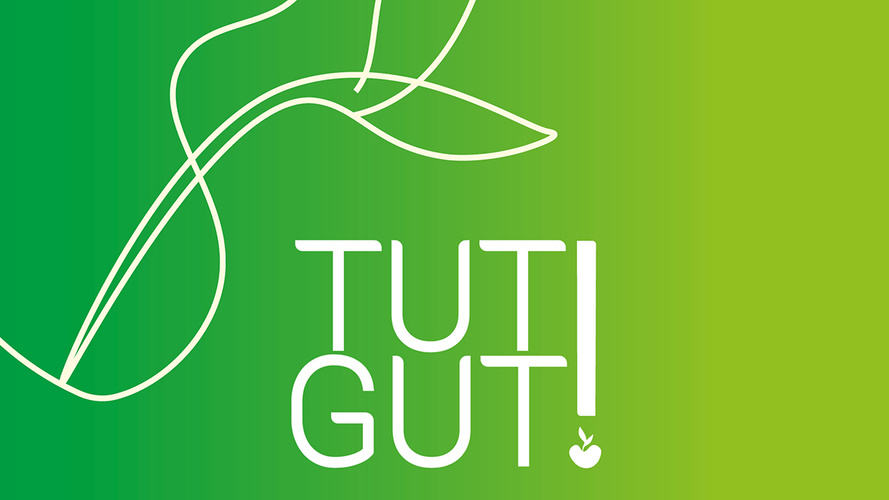 Trecker im Morgenlicht auf Feldweg