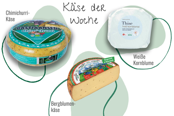 Drei Käsesorten aus der Abokiste in einem Bild