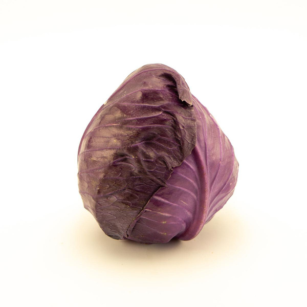 Produktfoto zu Spitzkohl rot