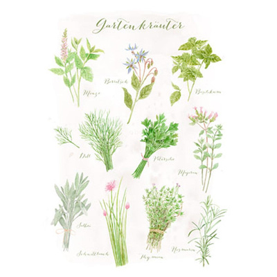 Produktfoto zu Postkarte Gartenkräuter