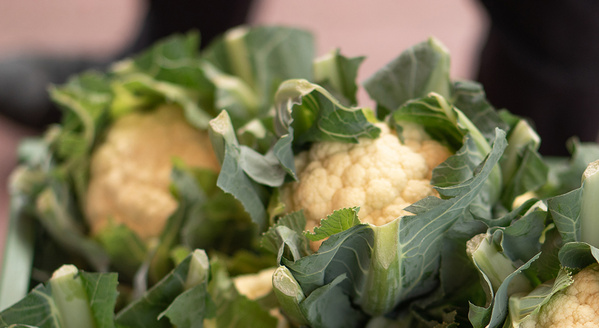 Blumenkohl mit grünem Umblatt in Kiste