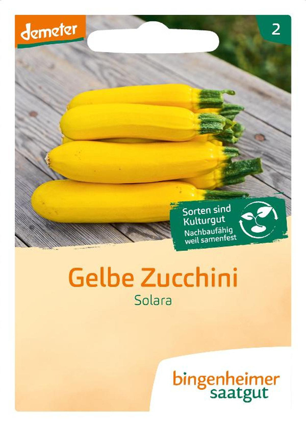 Produktfoto zu Saatgut Gelbe Zucchini Solara