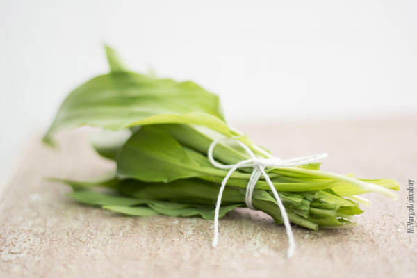 KI generiert: Ein Bündel Bärlauchblätter, gebunden auf einem Tisch.