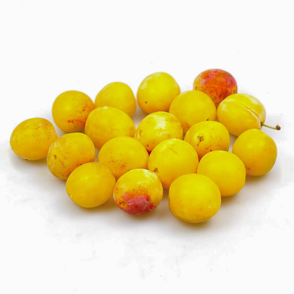 Produktfoto zu Mirabellen 250g Schale