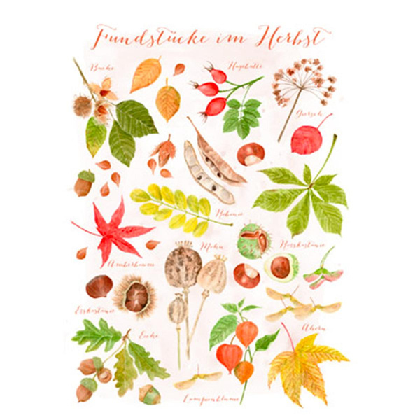 Produktfoto zu Postkarte Fundstücke im Herbst