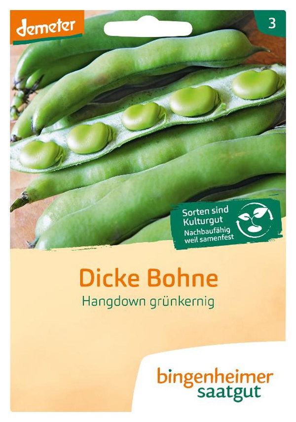 Produktfoto zu Saatgut Dicke Bohne Hangdown grünkernig